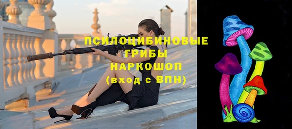 метадон Богородицк