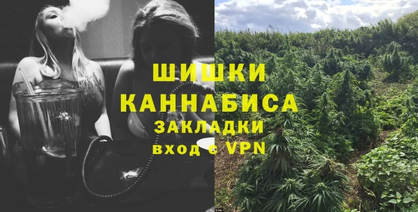 метамфетамин Богданович